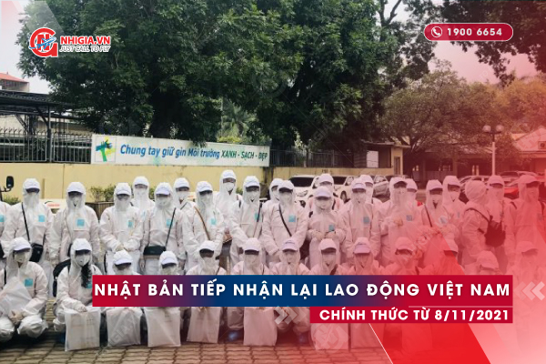 Nhật Bản tiếp nhận lao động Việt Nam 8-11